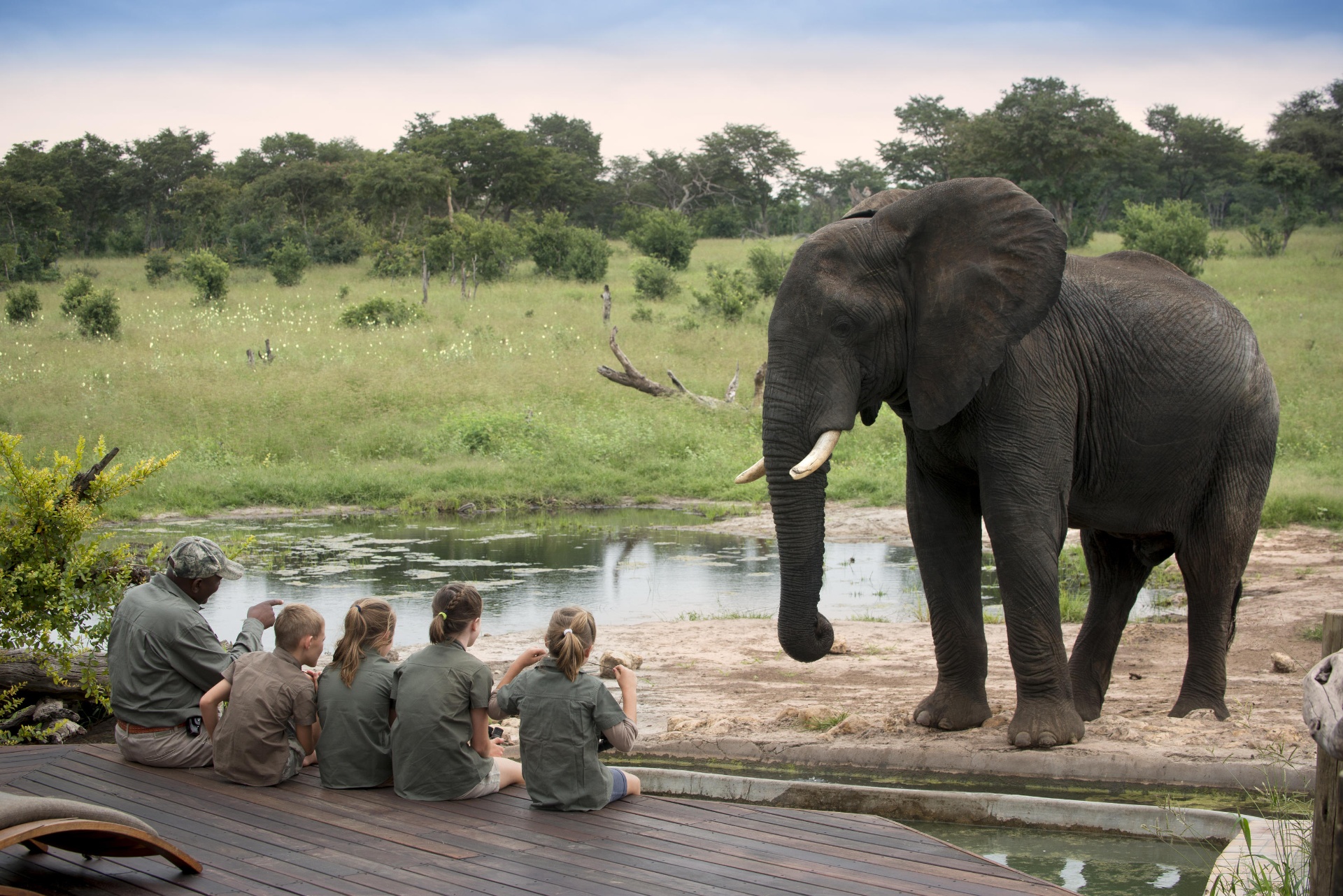 Hwange Park